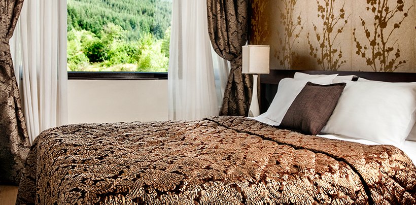 Alpine Executive Room